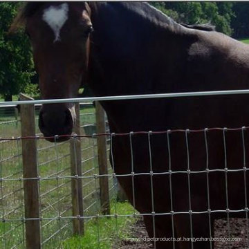 3 Rail Black Horse Fence